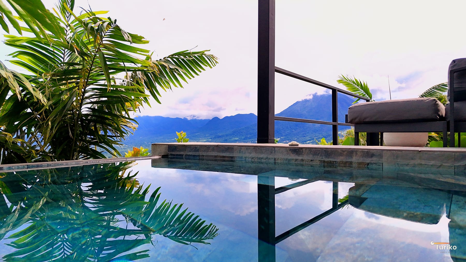 Infinity entre la selva